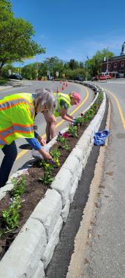 Lebanon beautification project 