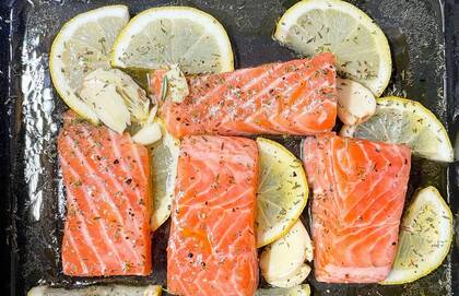 Salmon 