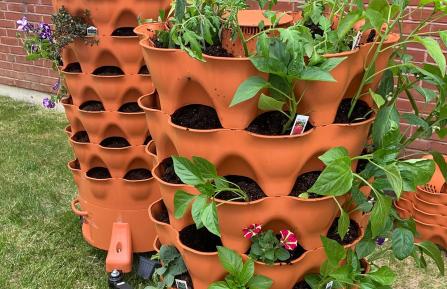 Garden towers planted in the hospital courtyard at APD.