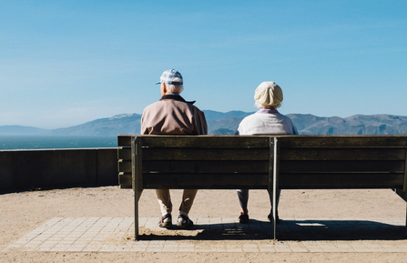 Cognitive decline 