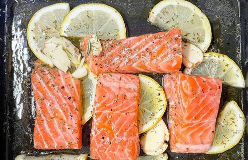 Salmon 